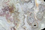 Polished Crazy Lace Agate Stand Up - Mexico #79739-1